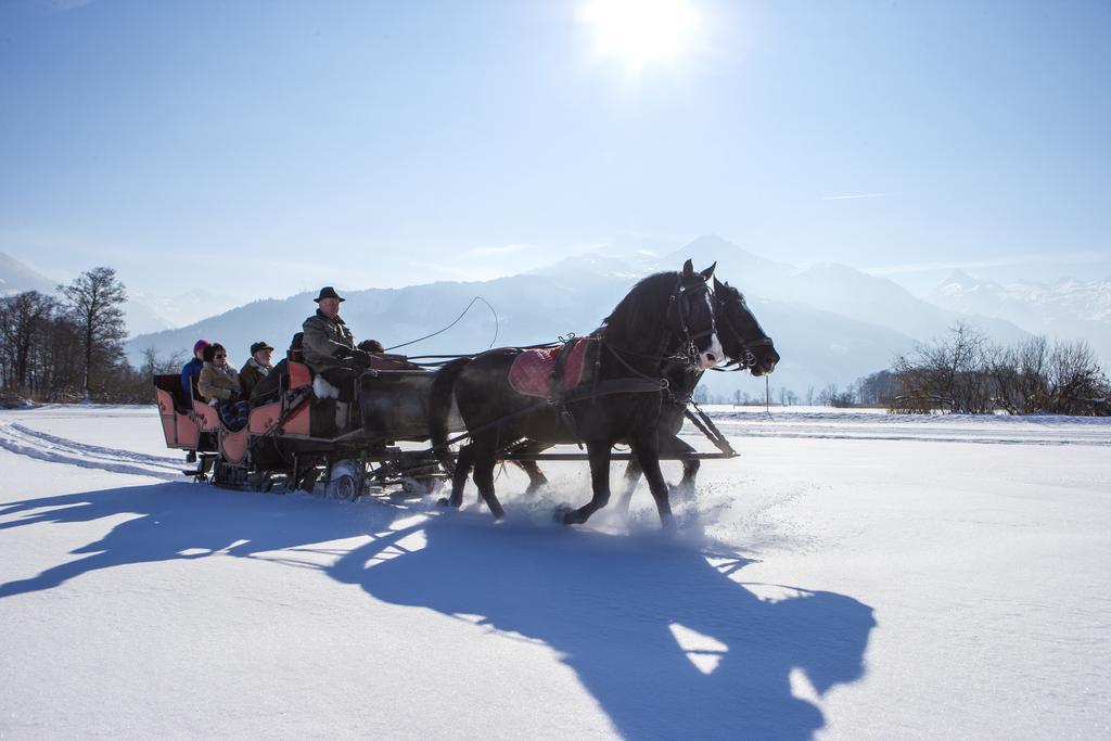 Junges Zell Am Hostel