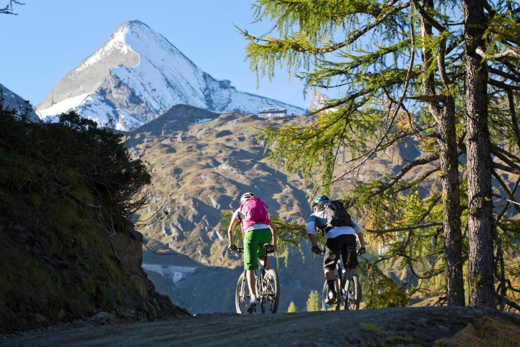Junges Zell Am